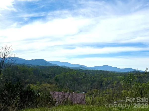 a view of a bunch of trees in a field