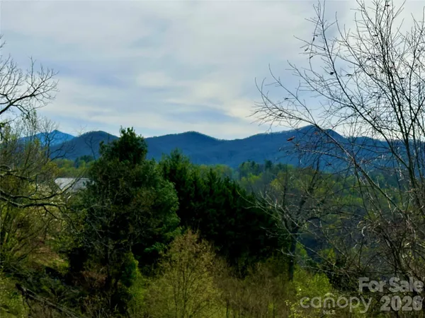 a view of a back yard