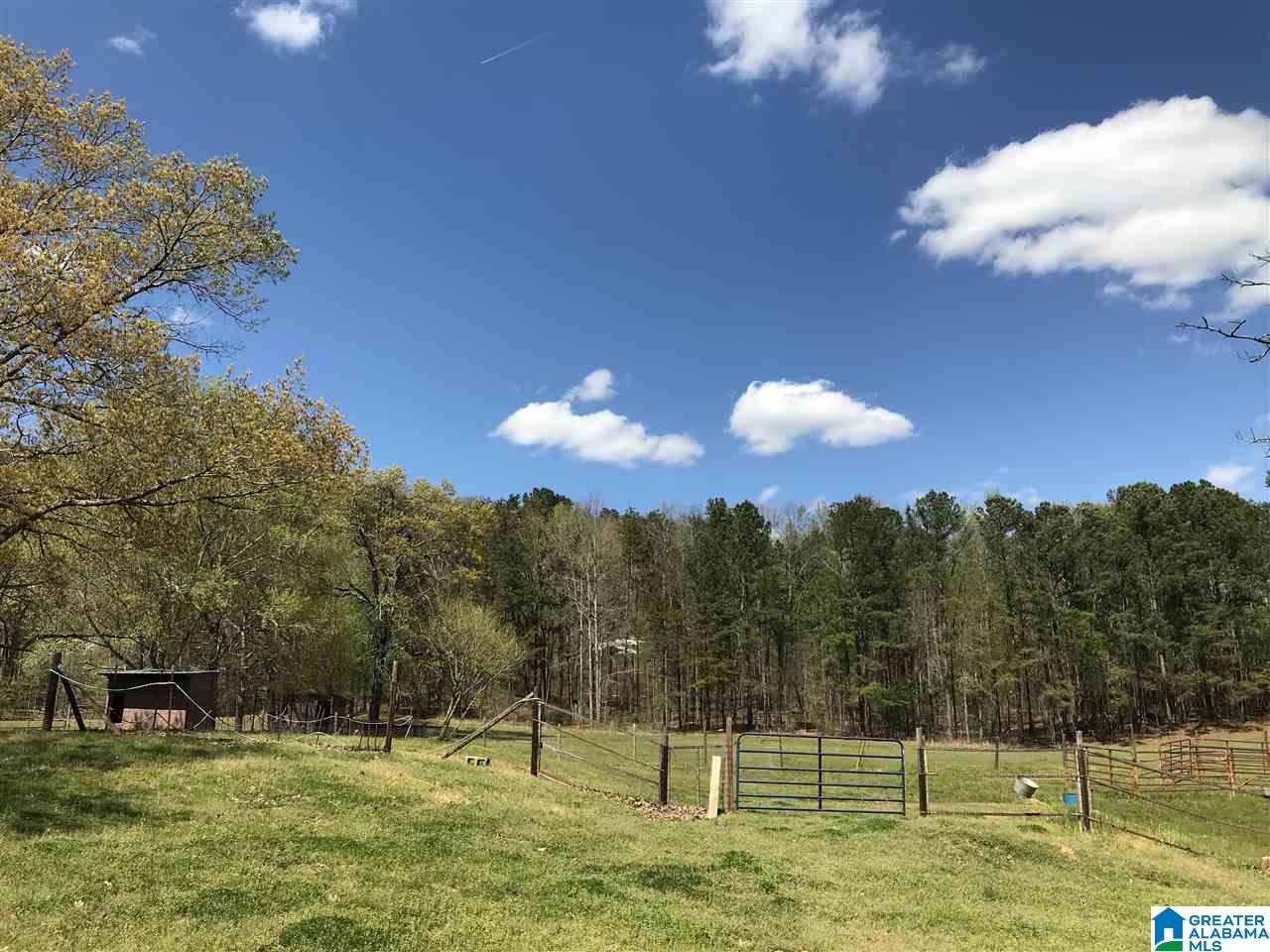 346 Hunters Lane Vandiver, AL 35176 - Photo 19 of 38