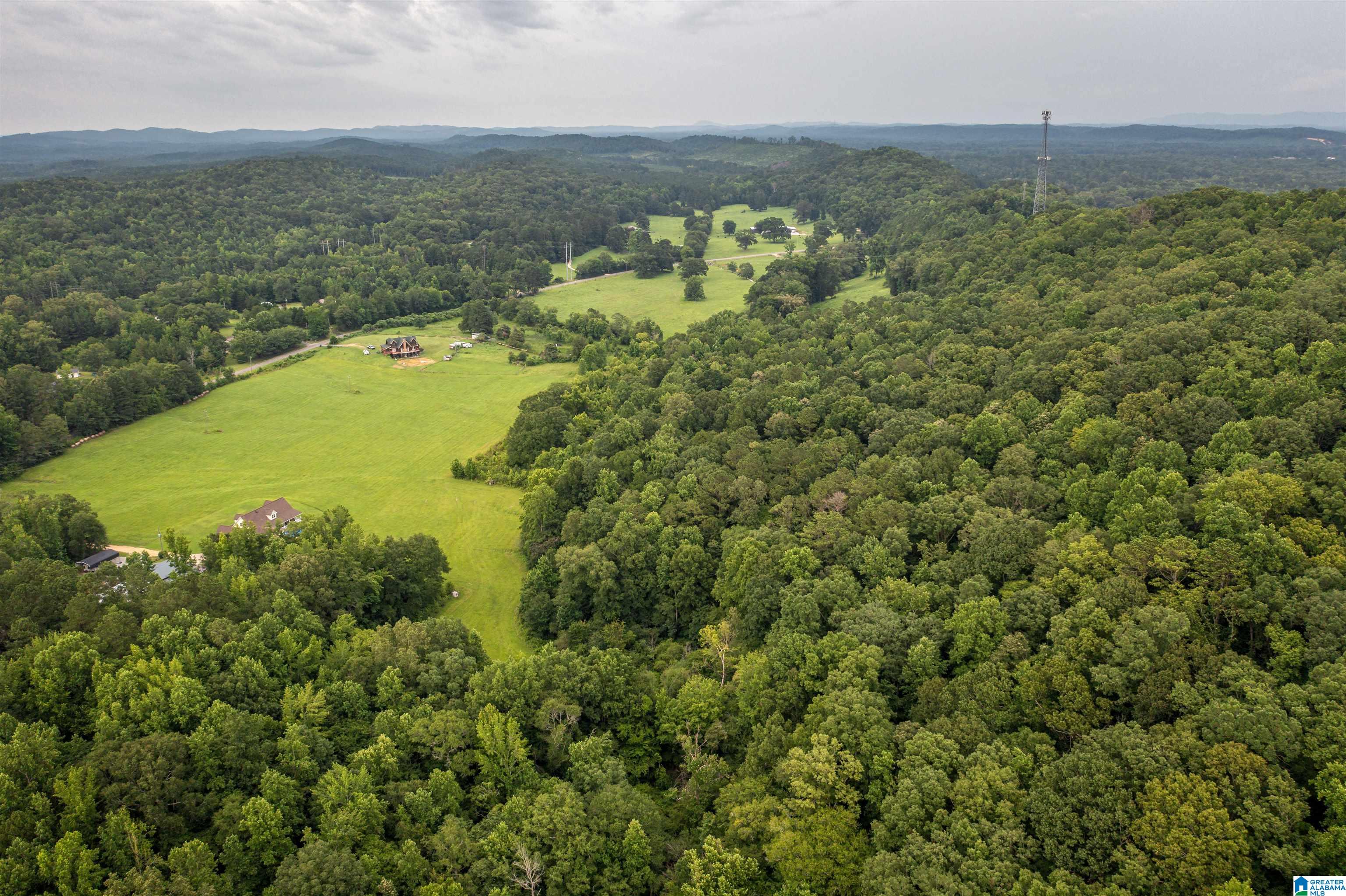 15.35 Spring Road, Unit 15 35 Anniston, AL 36201 - Photo 15 of 18