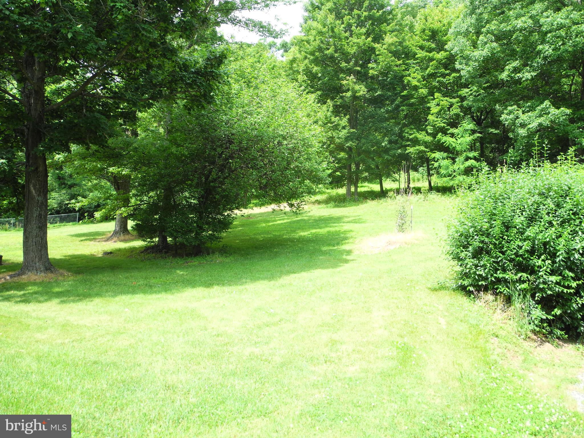 13204 Draper Road Clear Spring, MD 21722 - Photo 25 of 44 Back Yard