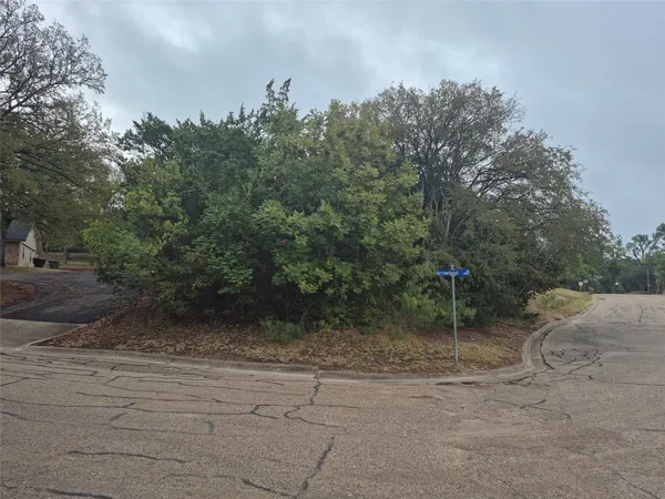 a view of a dry yard with trees