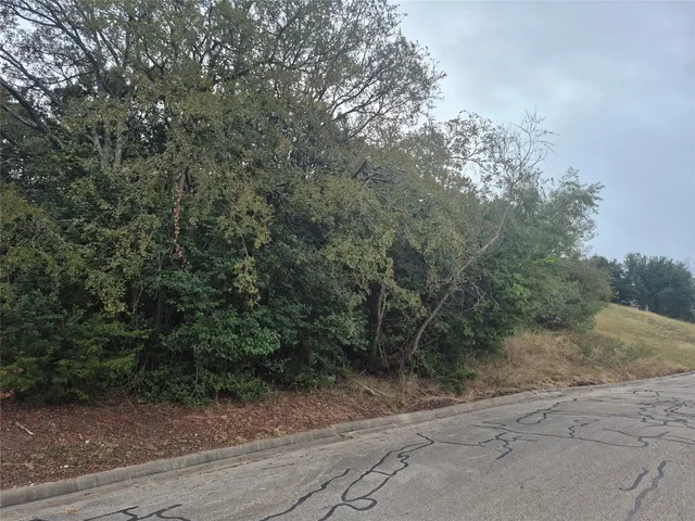 a view of a yard with trees