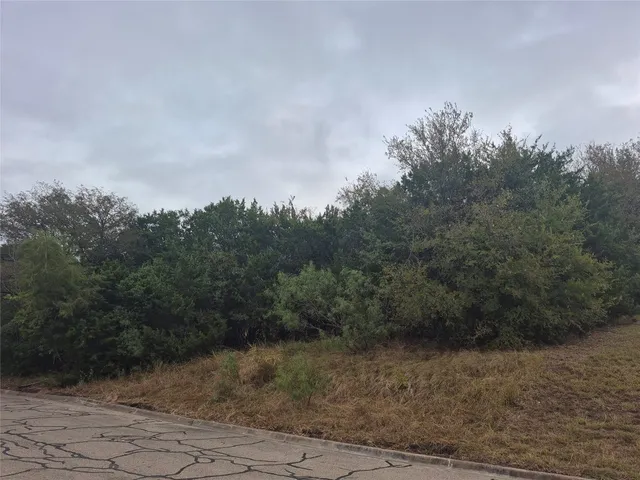 a view of a dry yard with trees in the background