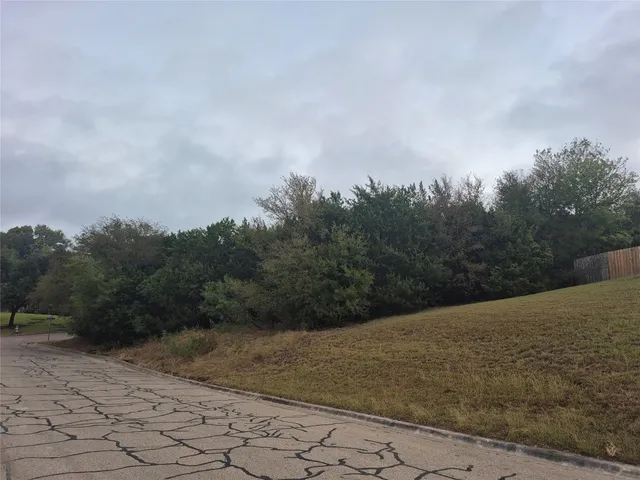 a view of a dry yard with trees