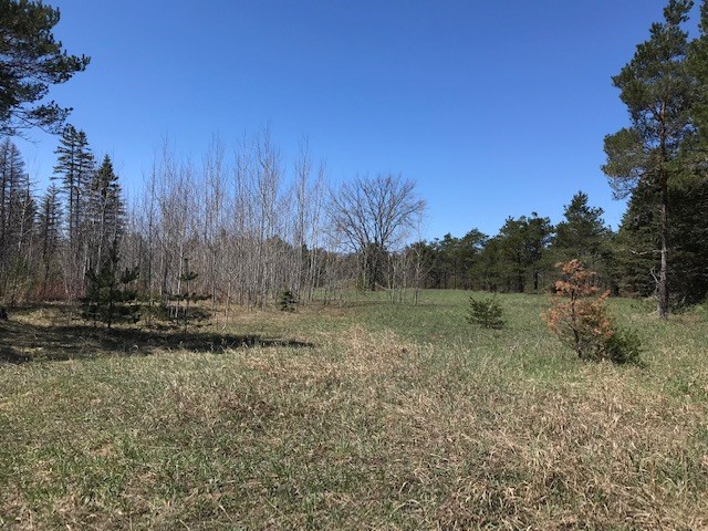Bailey Road Bellaire, MI 49615 - Photo 5 of 15 1860552-4.JPG