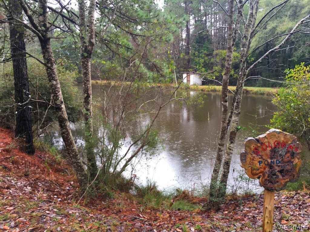 30 Acres Mound Road Black, AL 36314 - Photo 4 of 16 Gallery Image 4