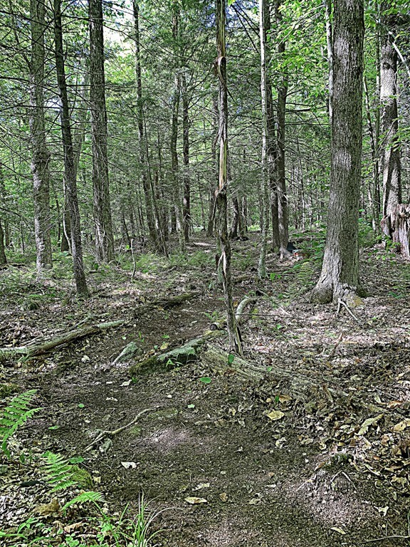 0 Watson Road Becket, MA 01223 - Photo 17 of 22 Gallery Image 17