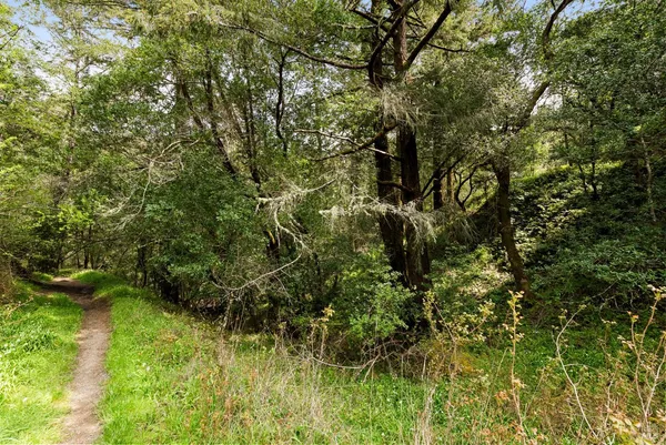 a view of outdoor space and trees