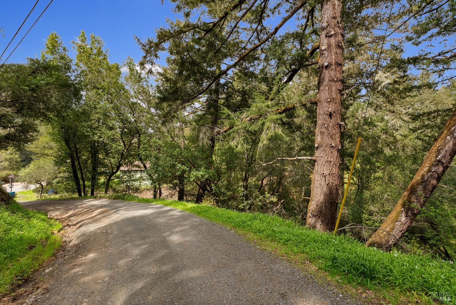 305 Resaca Avenue San Francisco, CA 94133 - Photo 17 of 21 a view of outdoor space and yard