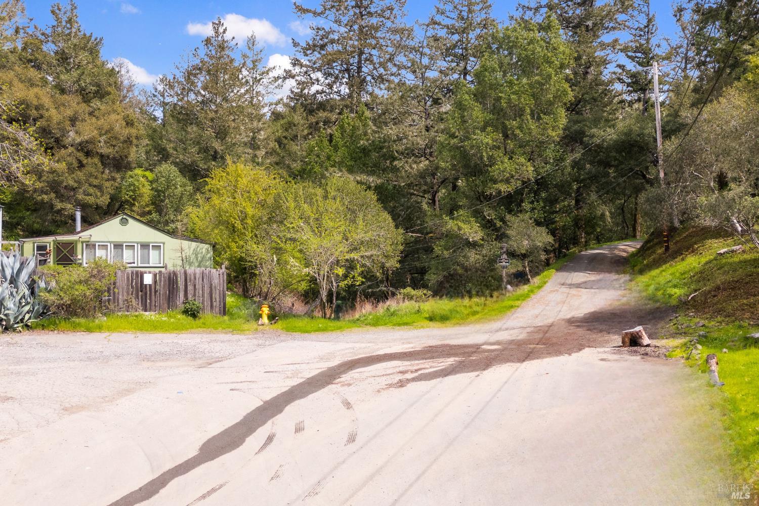 305 Resaca Avenue San Francisco, CA 94133 - Photo 8 of 21 a view of road with large trees
