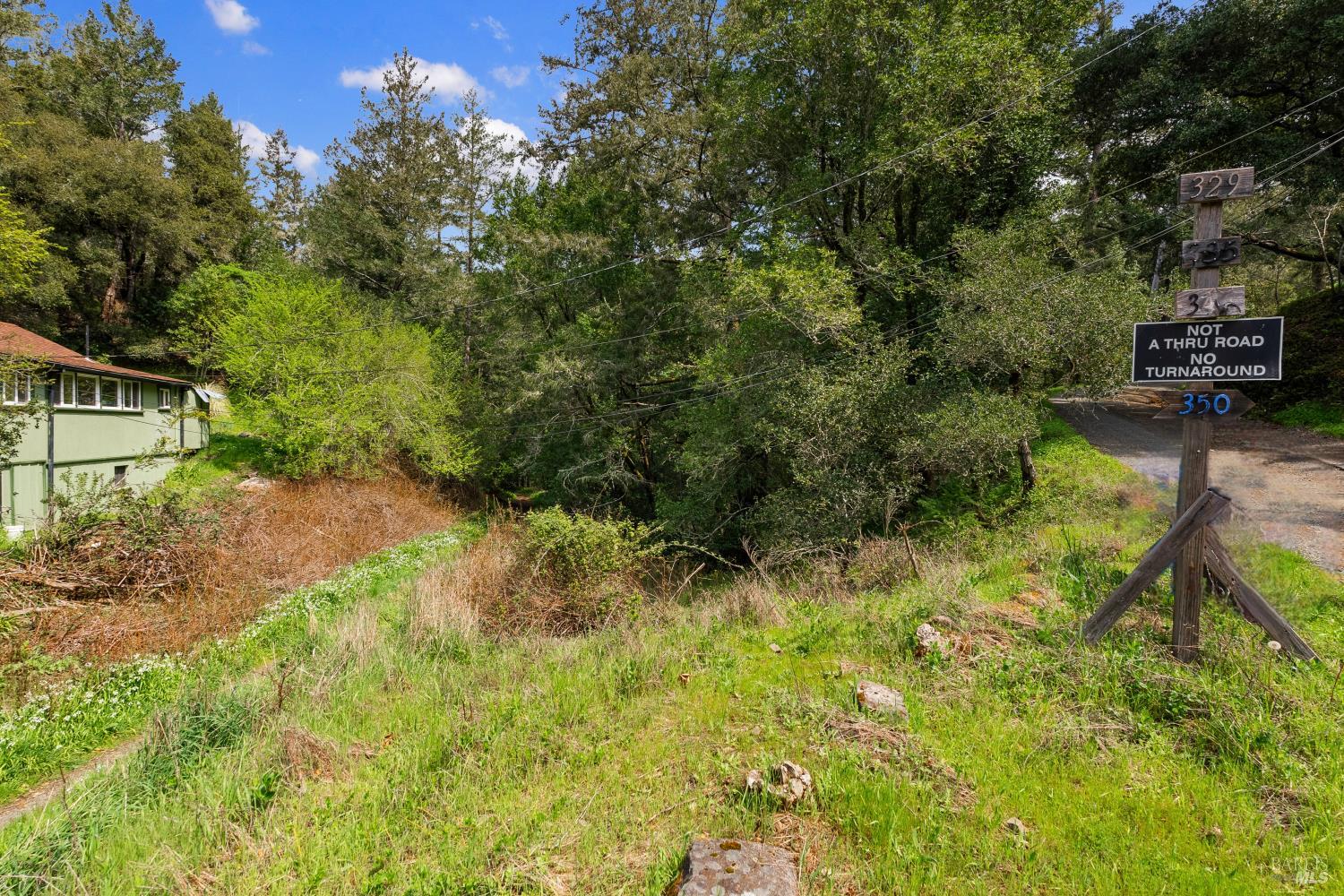 305 Resaca Avenue San Francisco, CA 94133 - Photo 9 of 21 a view of a back yard
