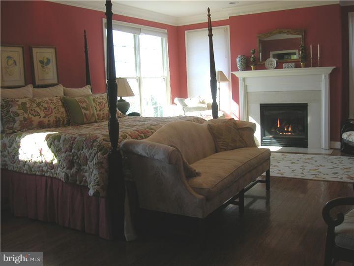 239 Wiggins Mill Road Townsend, DE 19734 - Photo 17 of 25 Bedroom - Main