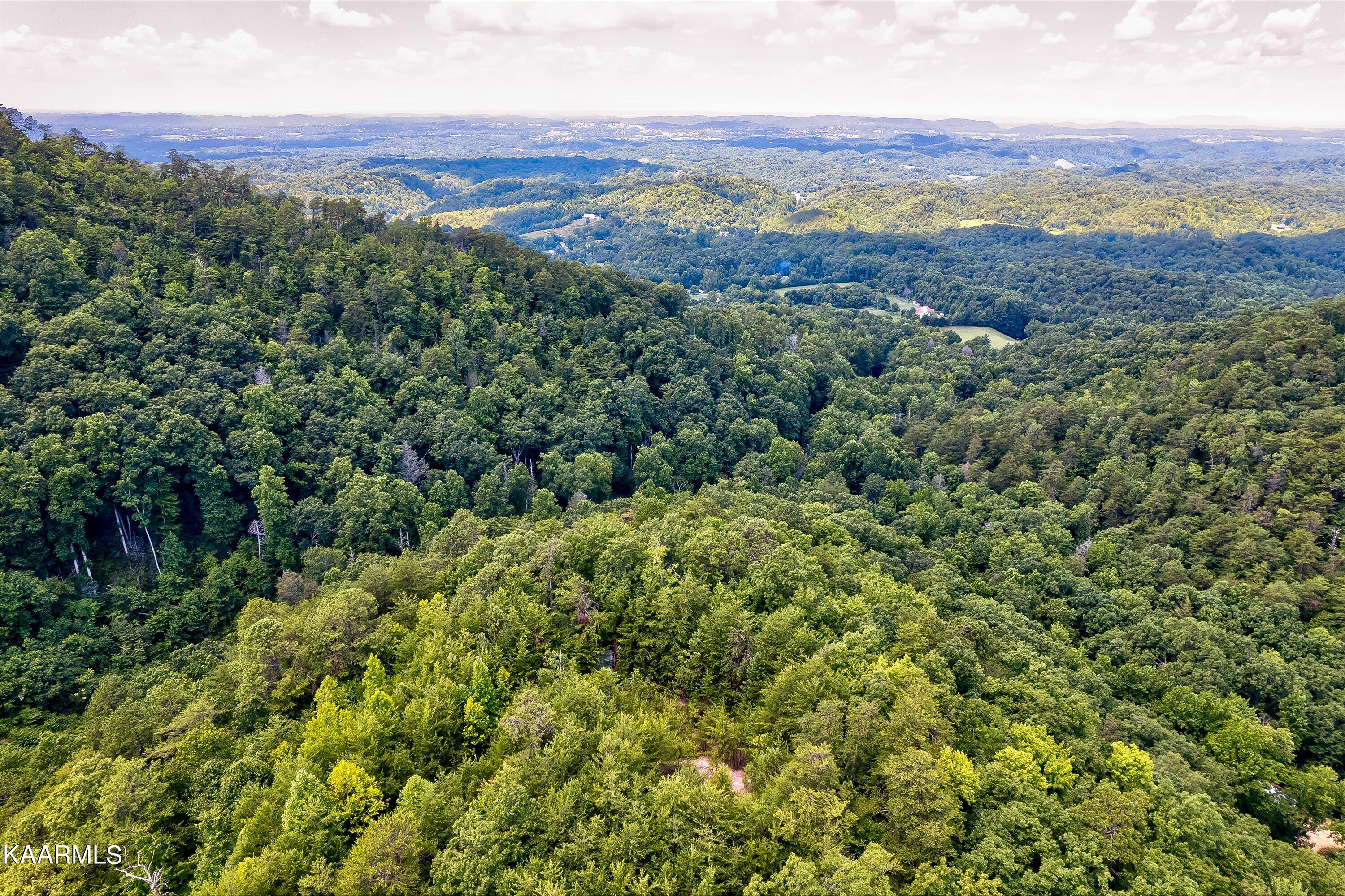Reagan Springs Road Seymour, TN 37865 - Photo 5 of 8 30-Reagan Springs Rd-59