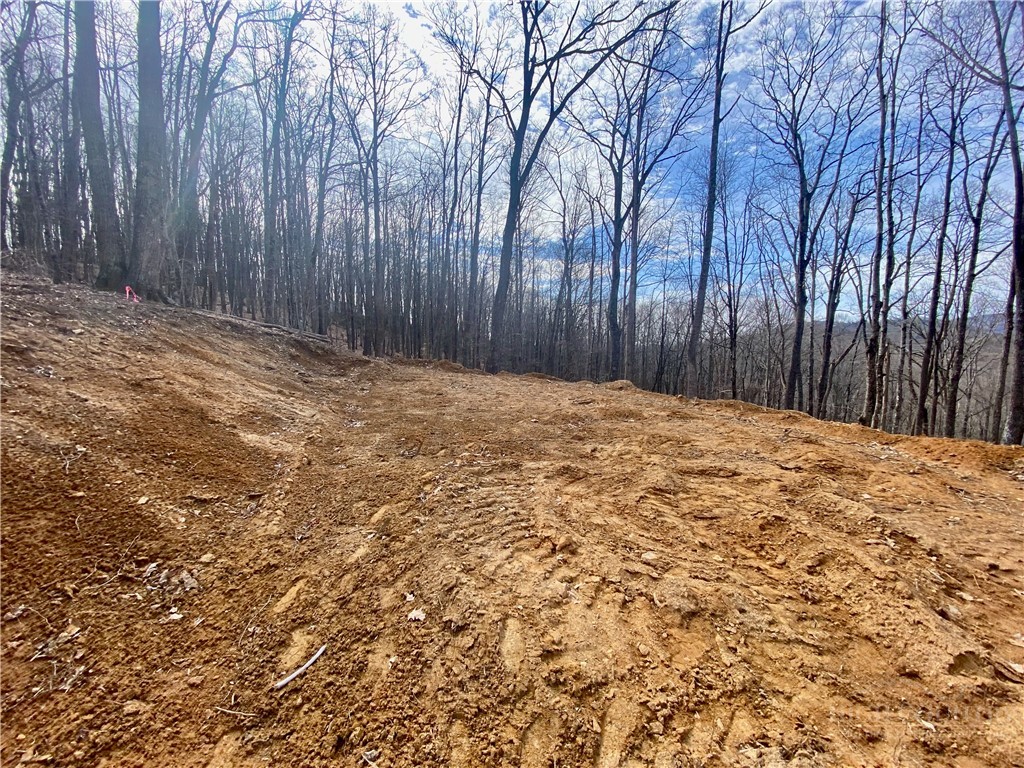 Old Chestnut Mountain Road Newland, NC 28657 - Photo 23 of 33