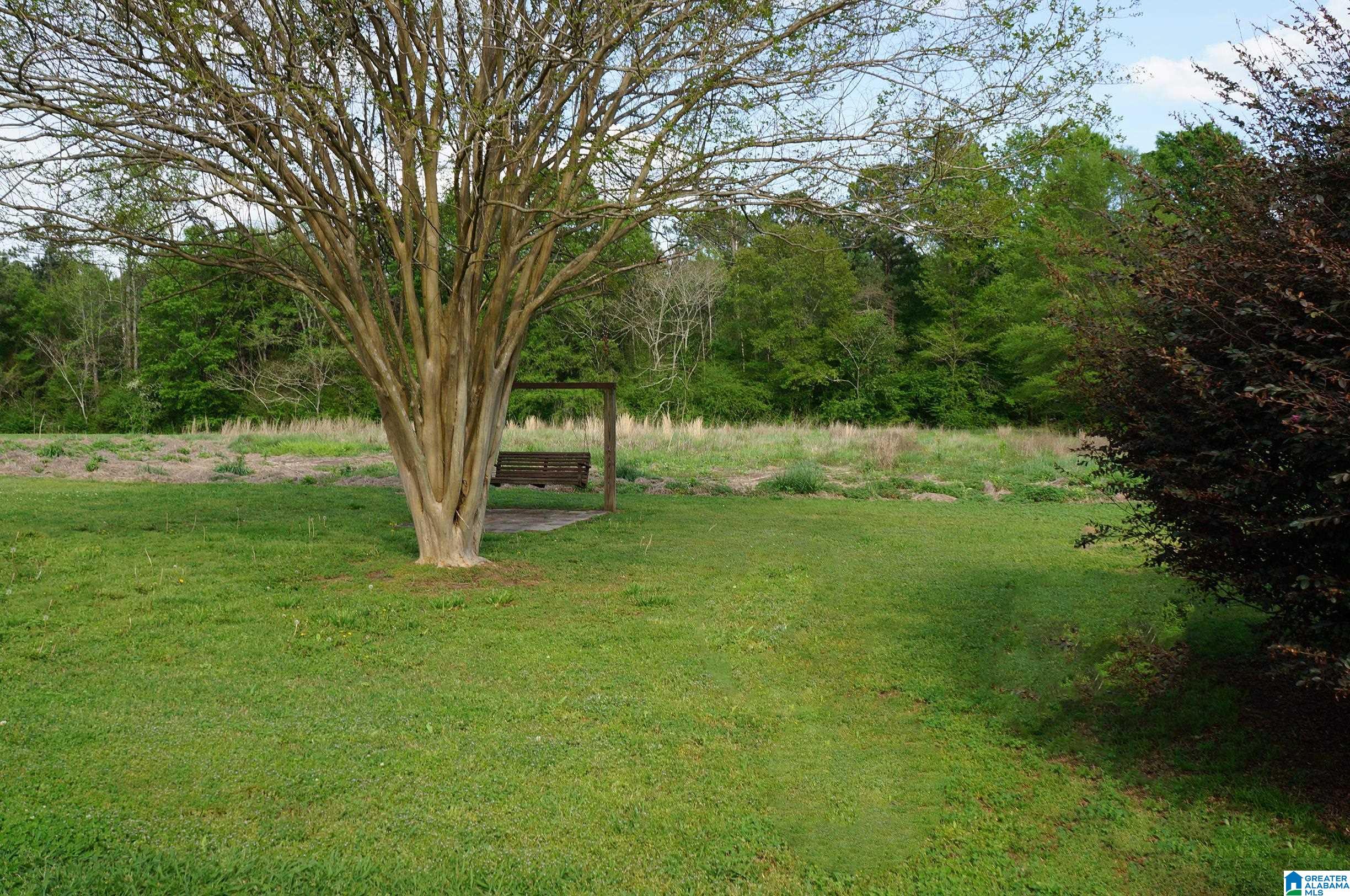 150 Mountain View Road Sylacauga, AL 35150 - Photo 10 of 36