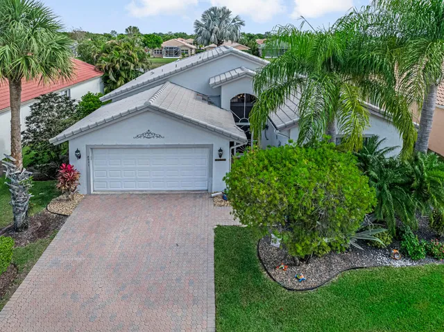 a view of a yard with palm trees