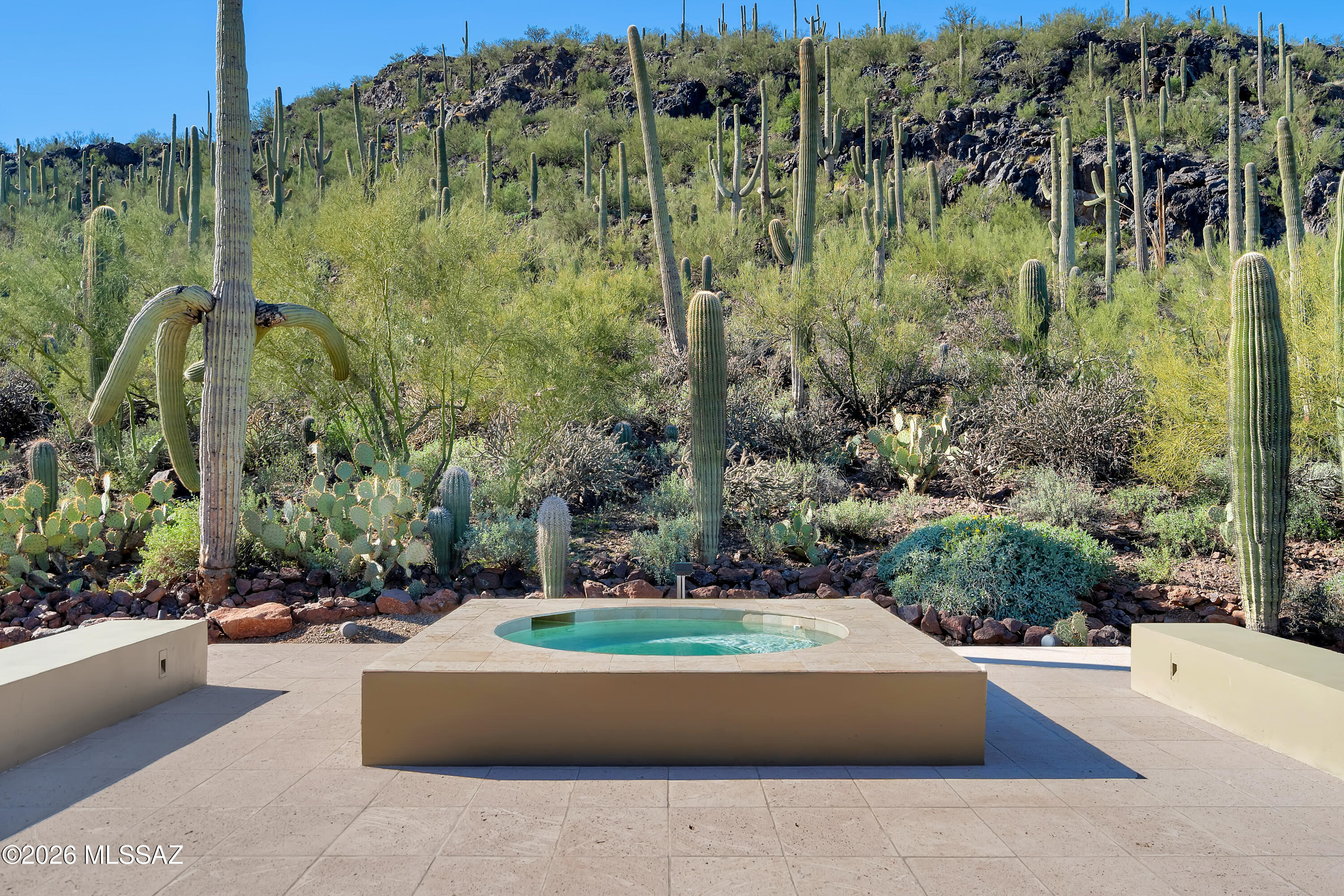 9971 North Silverbell Road Marana, AZ 85653 - Photo 30 of 34 a view of a garden