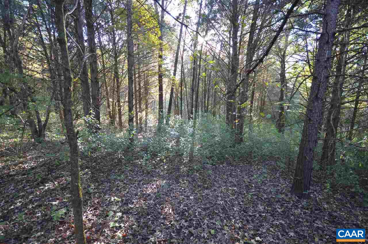 5 Amicus Road Stanardsville, VA 22973 - Photo 7 of 14 Gallery Image 7