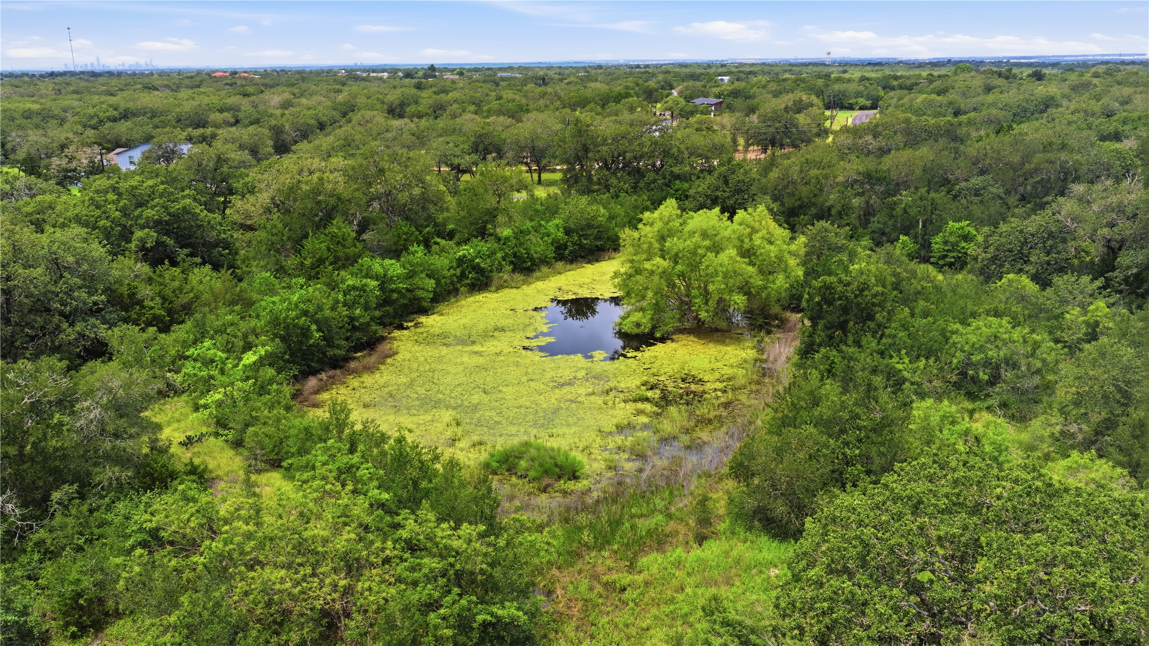 10312 Parsons Road Manor, TX 78653 - Photo 13 of 26 A tranquil pond nestles amidst a verdant canopy of mature trees, offering a private, natural setting.