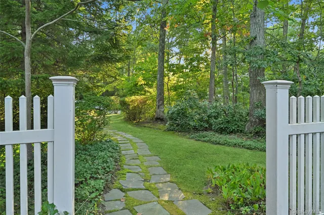 a view of a yard with plants and a large tree
