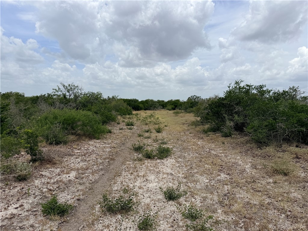 242 Cinco Millas Road Jourdanton, TX 78026 - Photo 21 of 35 Gallery Image 21