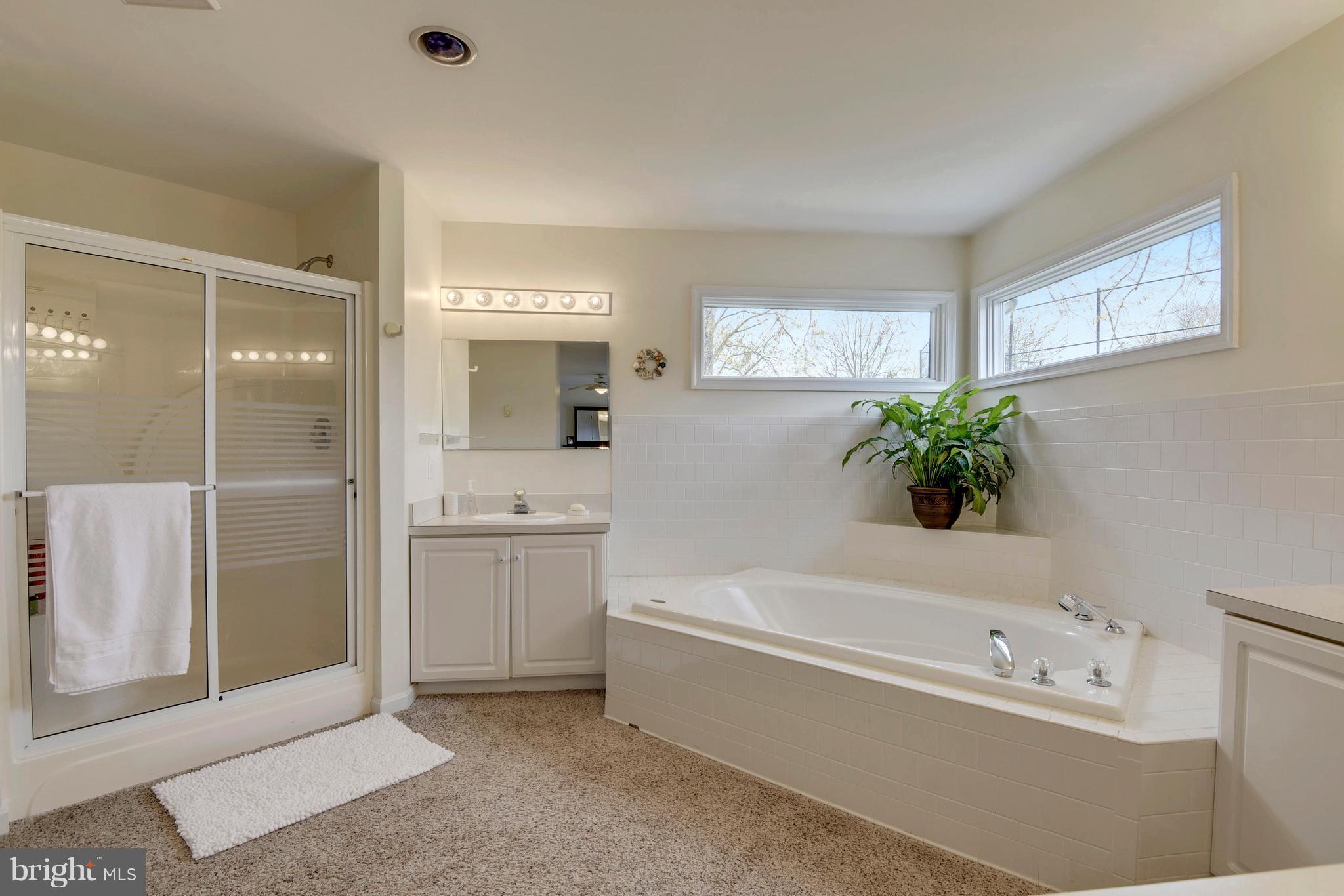 1319 Jones Station Road Arnold, MD 21012 - Photo 15 of 29 Dual sinks & counters leave room to get ready