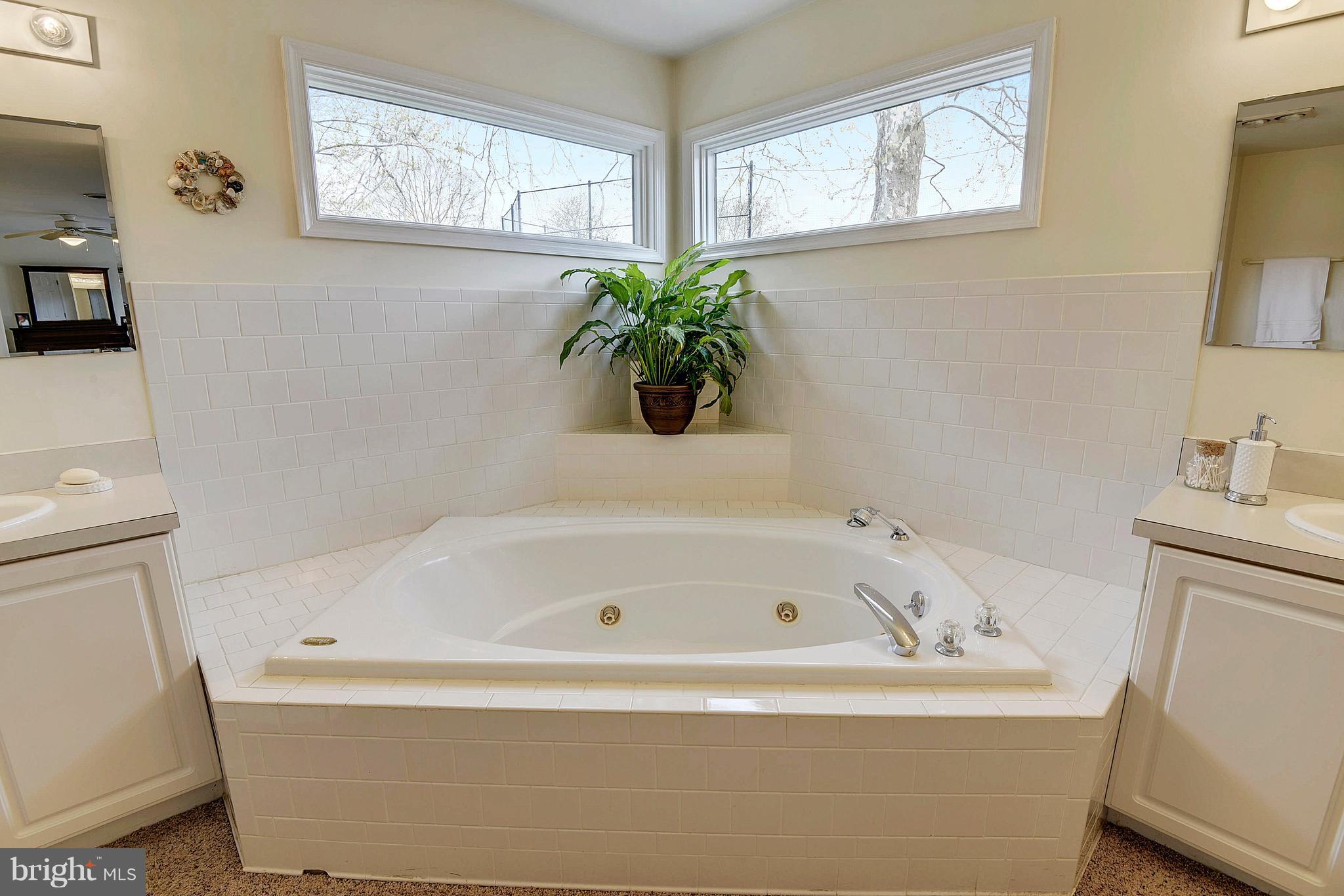1319 Jones Station Road Arnold, MD 21012 - Photo 17 of 29 Soaking tub w/jets and double sinks and shower
