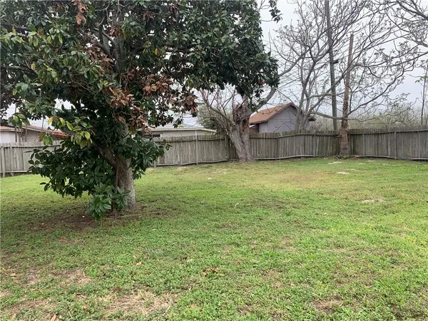 a view of a yard with a tree