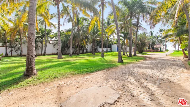 a view of a park with tree s