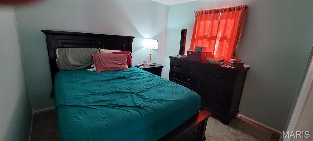 10854 Lake Road Highland, IL 62249 - Photo 12 of 21