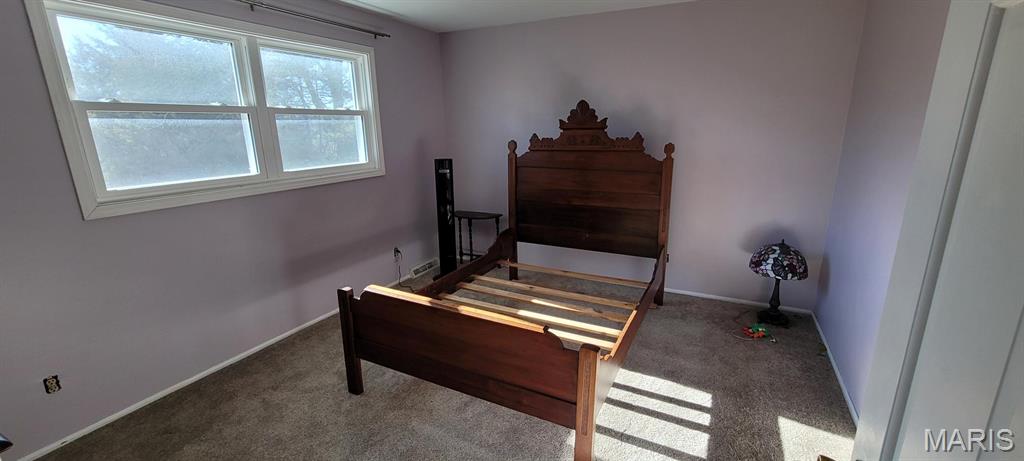 10854 Lake Road Highland, IL 62249 - Photo 15 of 21