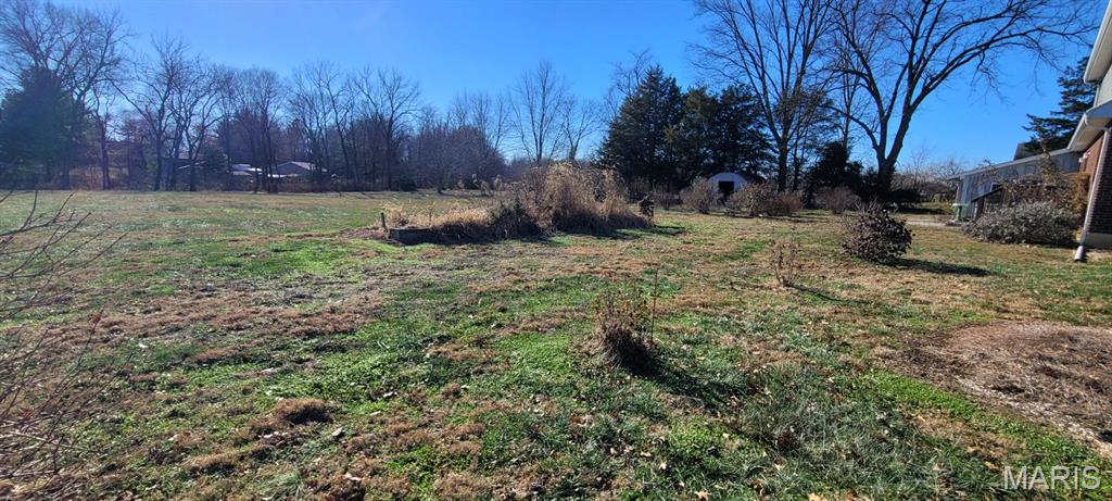 10854 Lake Road Highland, IL 62249 - Photo 19 of 21