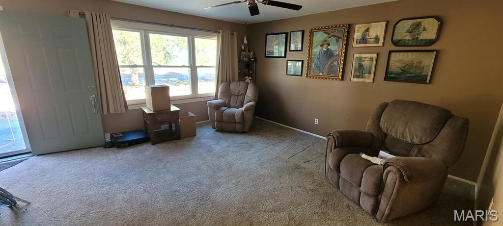 10854 Lake Road Highland, IL 62249 - Photo 3 of 21