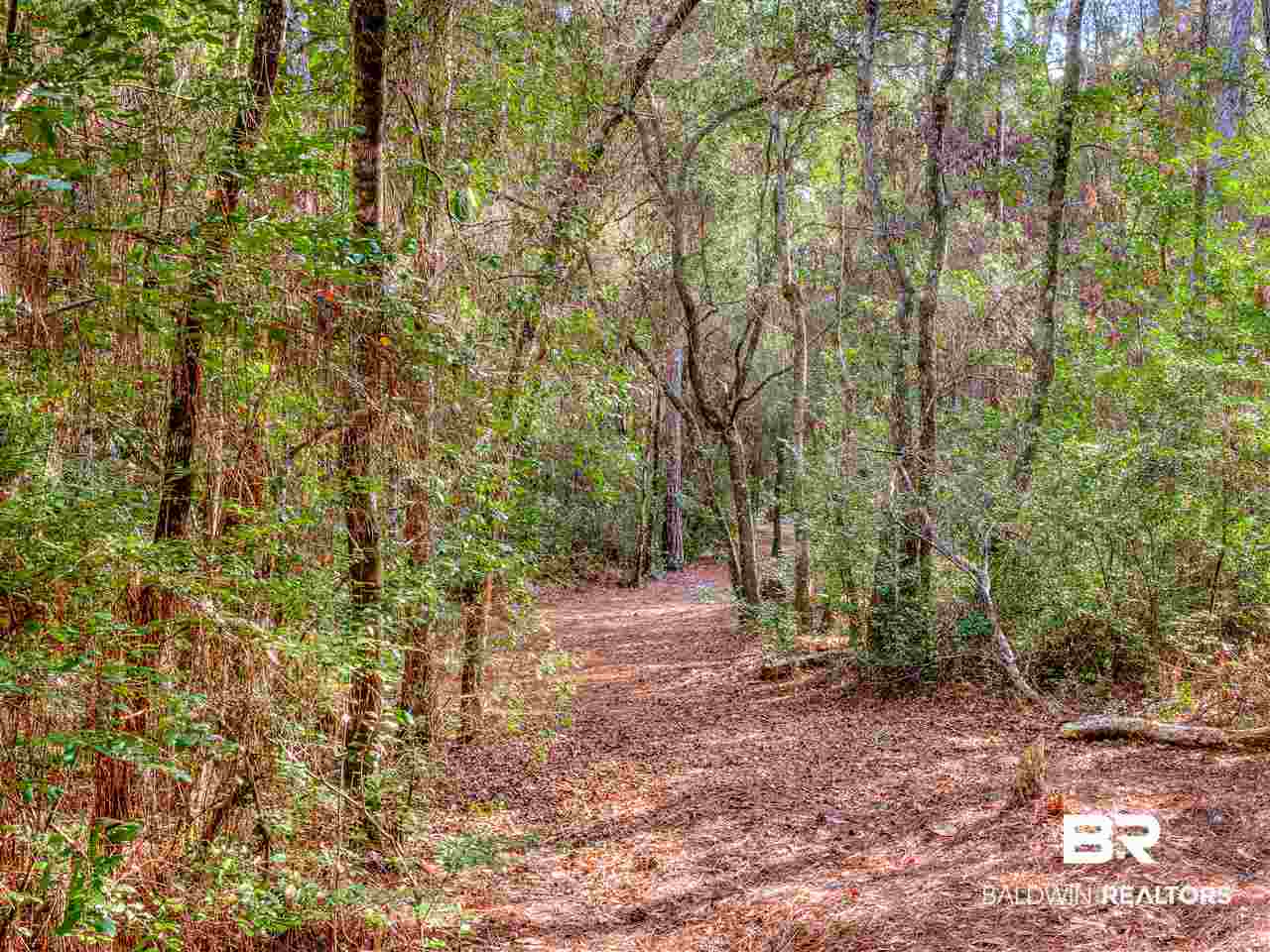 326 River Route Foley, AL 36535 - Photo 34 of 50