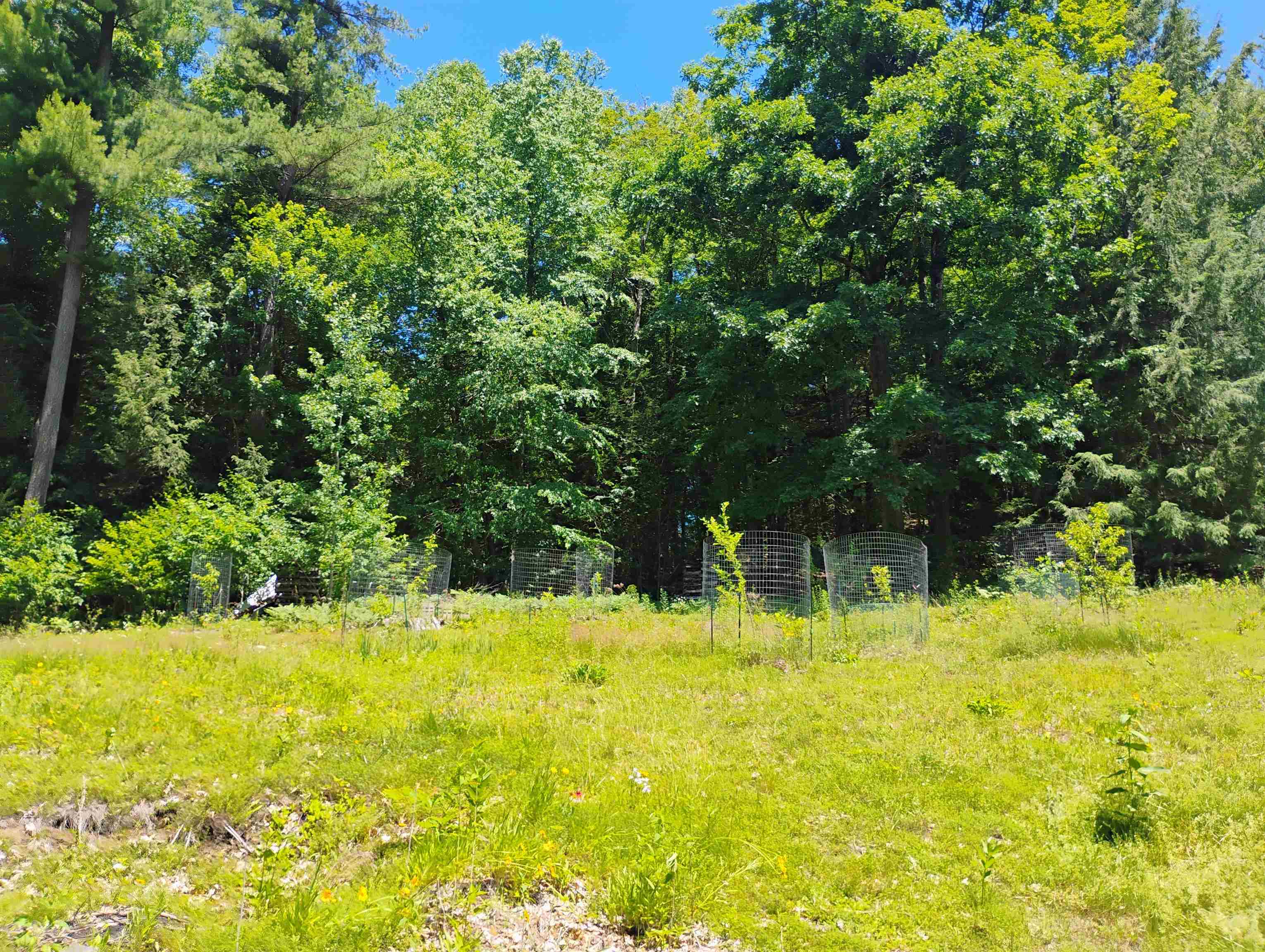 160 Akley Road Brattleboro, VT 05301 - Photo 8 of 40
