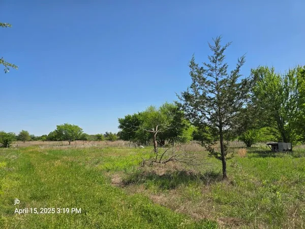 a view of a field with a tree in it