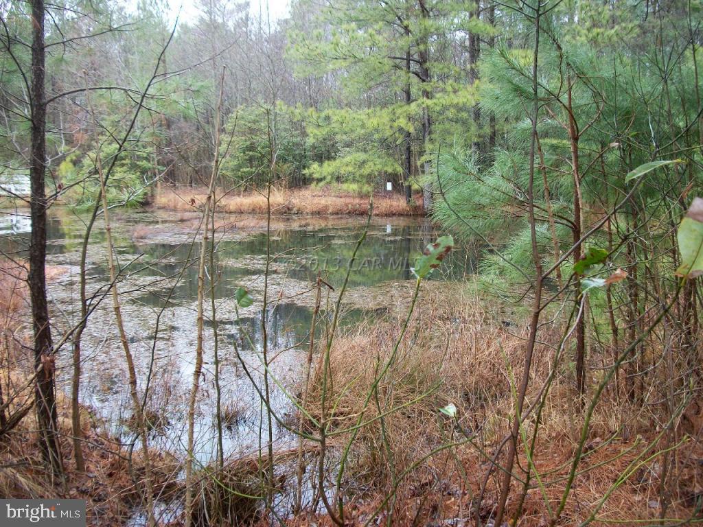 4837 Campground Road Salisbury, MD 21801 - Photo 36 of 42 Gallery Image 36