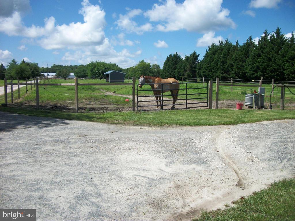 4837 Campground Road Salisbury, MD 21801 - Photo 38 of 42 Gallery Image 38