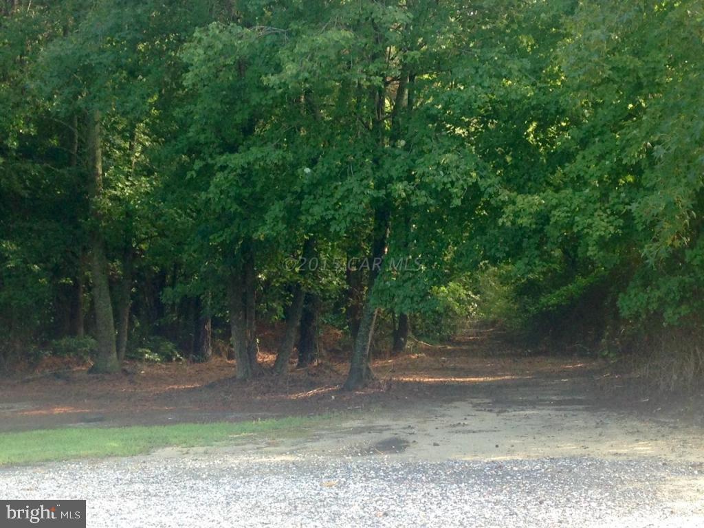 4837 Campground Road Salisbury, MD 21801 - Photo 40 of 42 Gallery Image 40