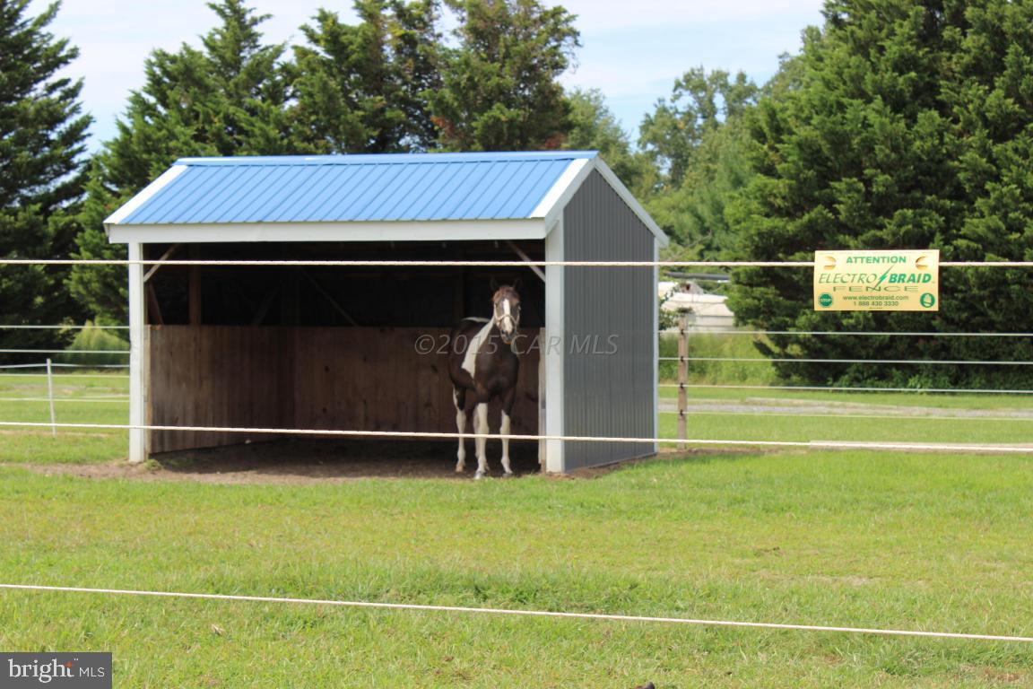 4837 Campground Road Salisbury, MD 21801 - Photo 41 of 42 Gallery Image 41