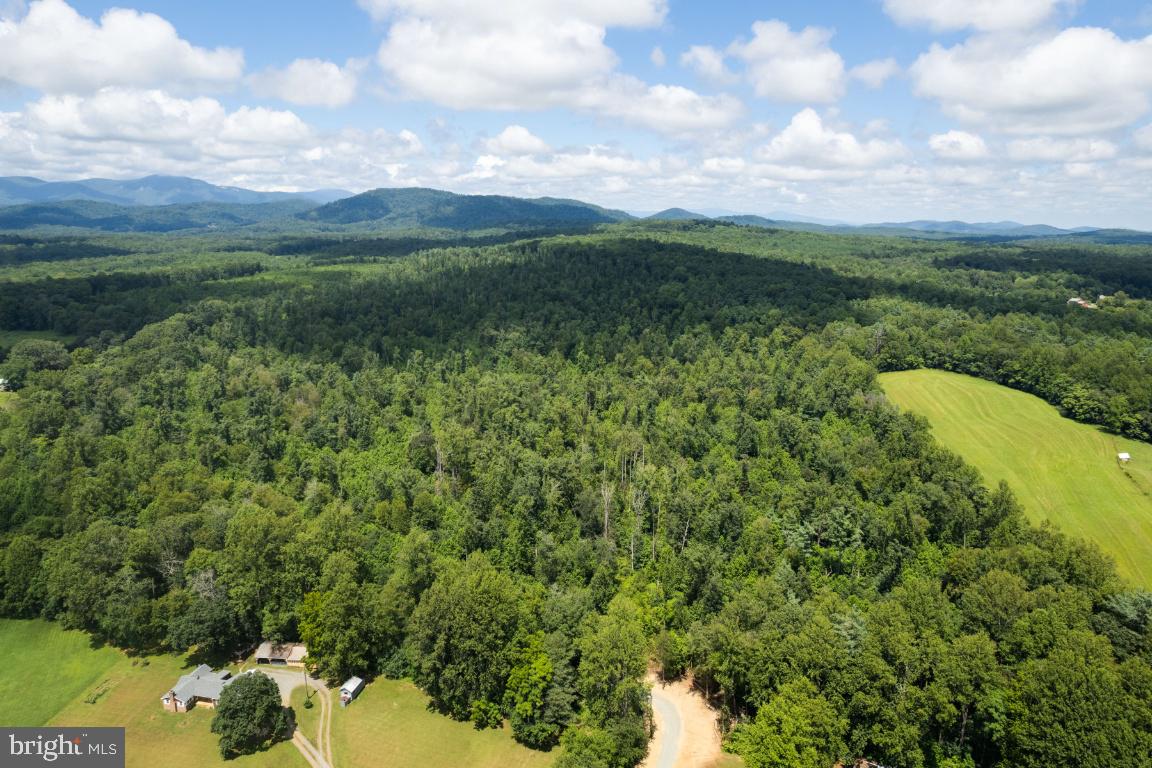 0 West Hoover Road Haywood, VA 22722 - Photo 13 of 16