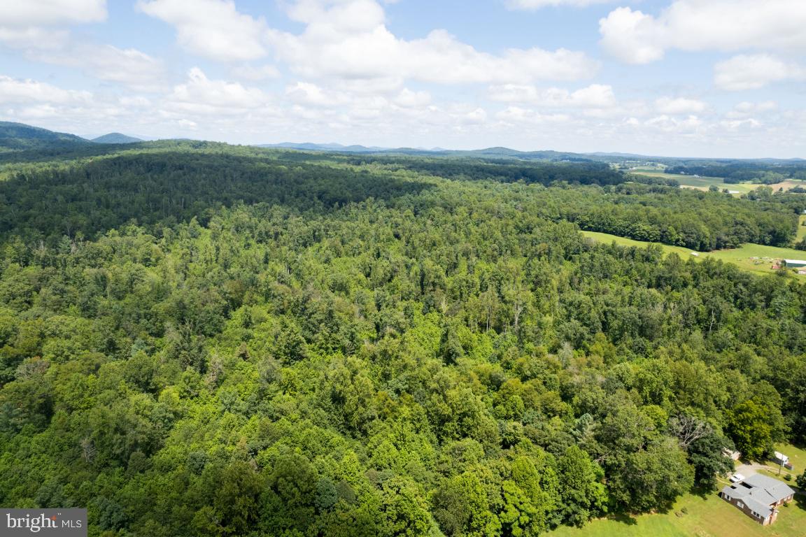 0 West Hoover Road Haywood, VA 22722 - Photo 14 of 16
