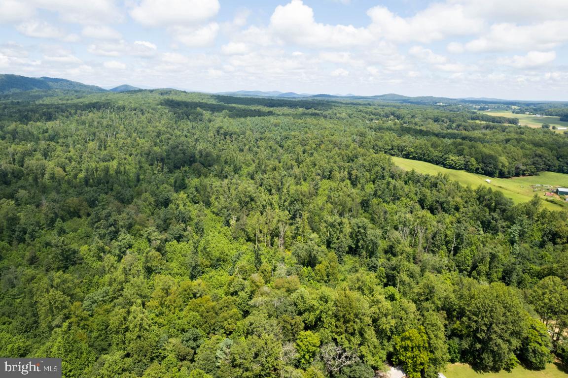0 West Hoover Road Haywood, VA 22722 - Photo 15 of 16