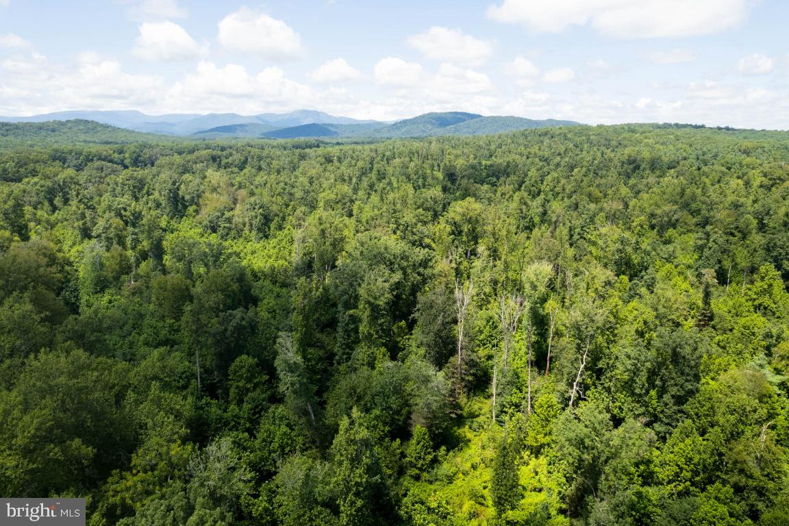 0 West Hoover Road Haywood, VA 22722 - Photo 16 of 16