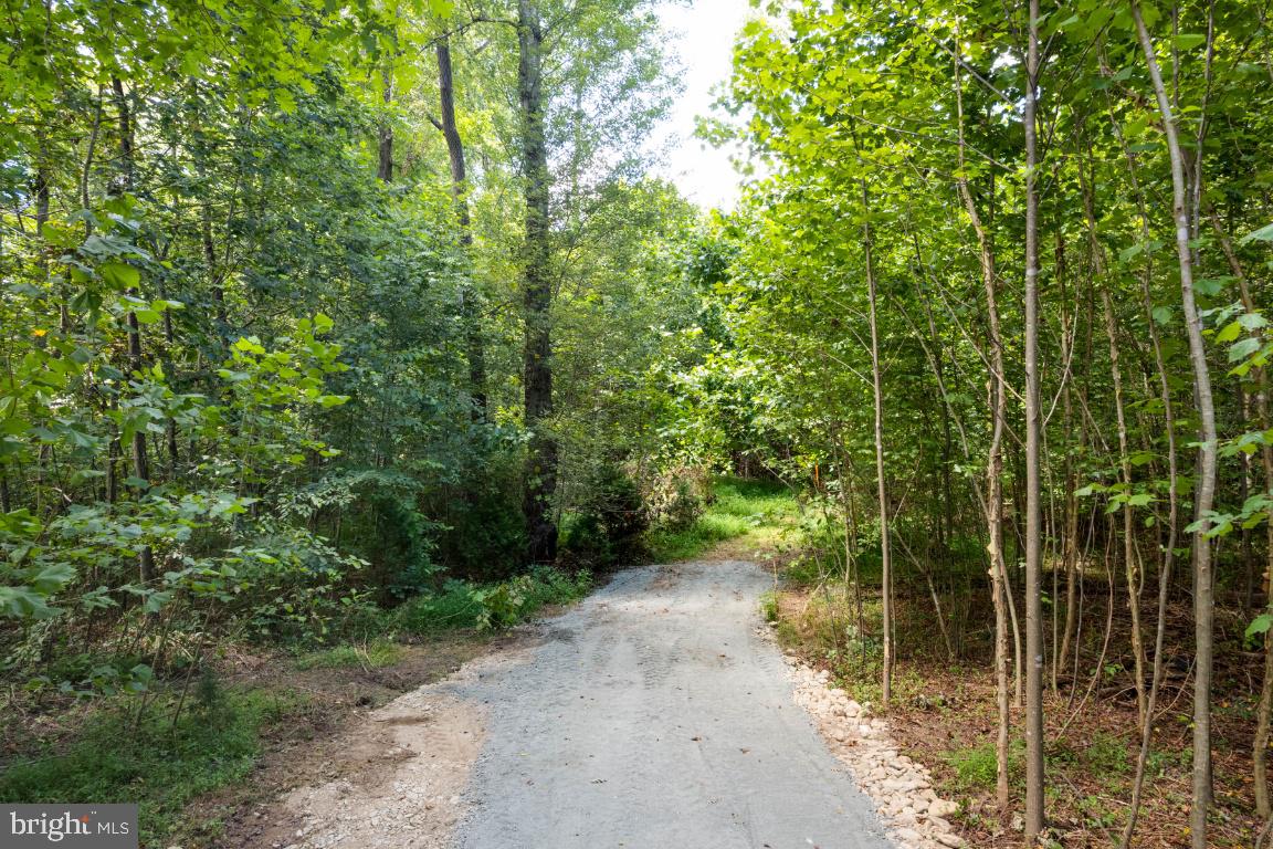 0 West Hoover Road Haywood, VA 22722 - Photo 4 of 16 View of new road.
