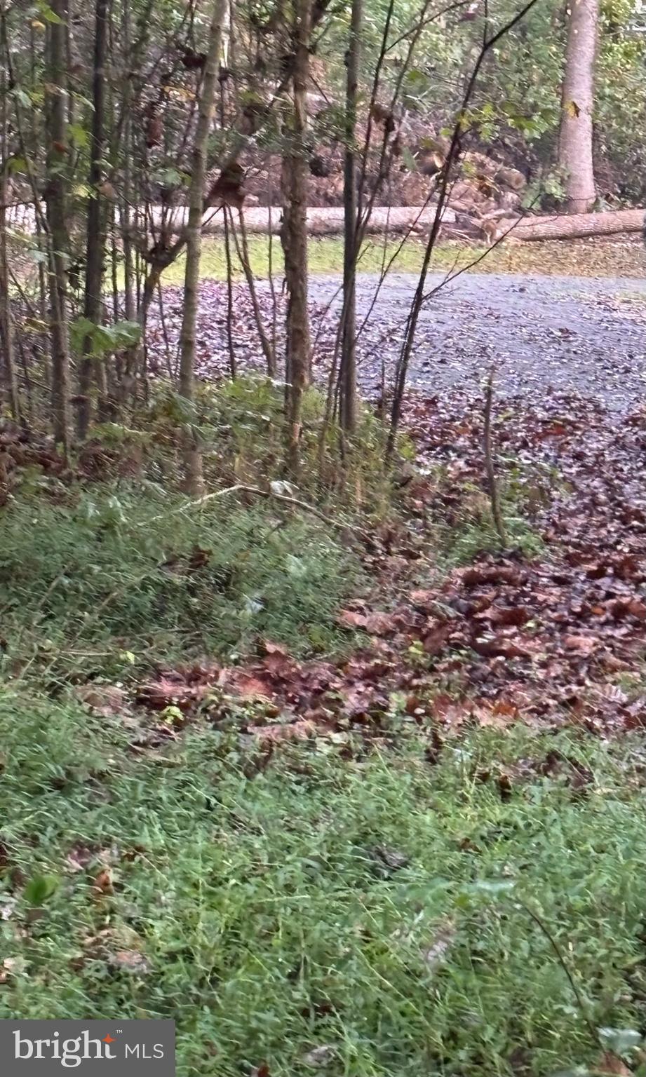 0 West Hoover Road Haywood, VA 22722 - Photo 7 of 16