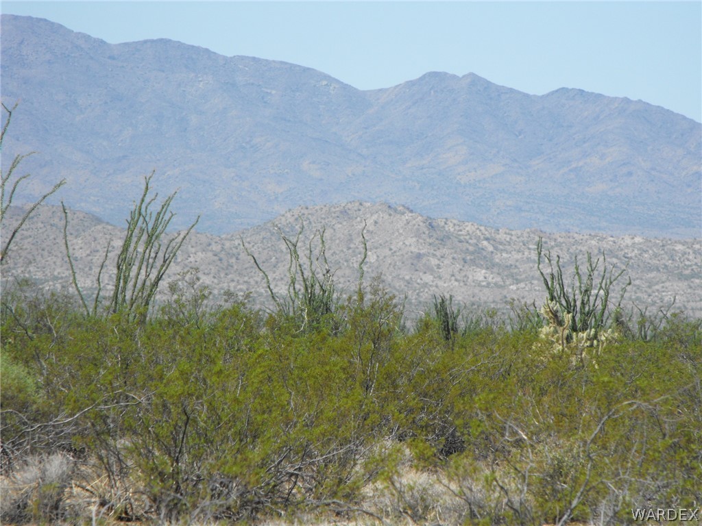 24 West Cielo Road Yucca, AZ 86438 - Photo 3 of 11