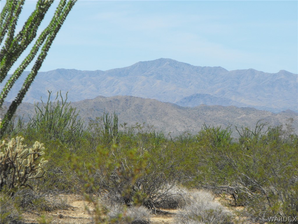 24 West Cielo Road Yucca, AZ 86438 - Photo 4 of 11