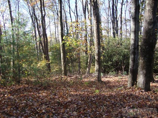 Hidden Springs Road West Jefferson, NC 28694 - Photo 1 of 7